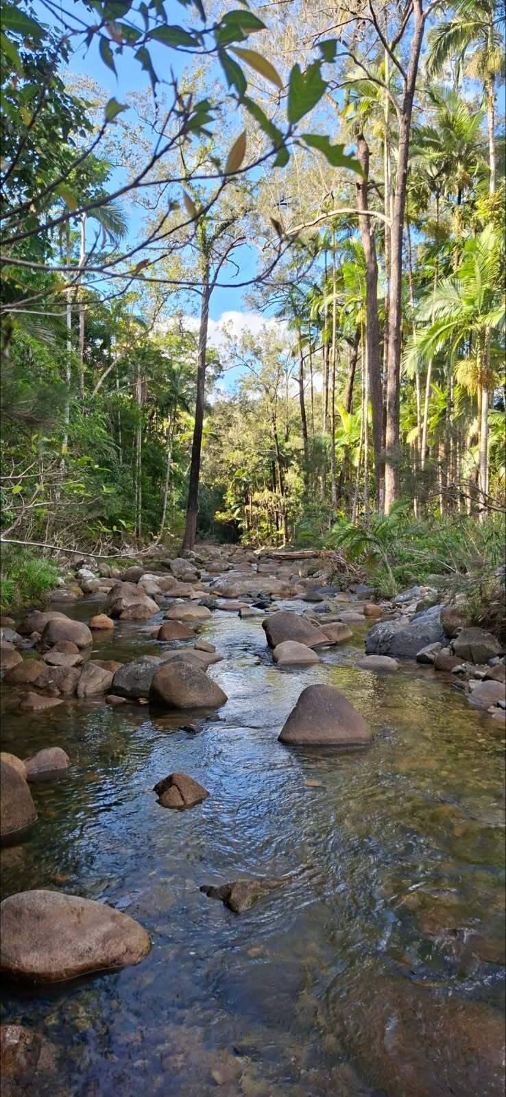 Lot 2 Harris Road, Owens Creek For Sale by Farmbuy.com - image 18