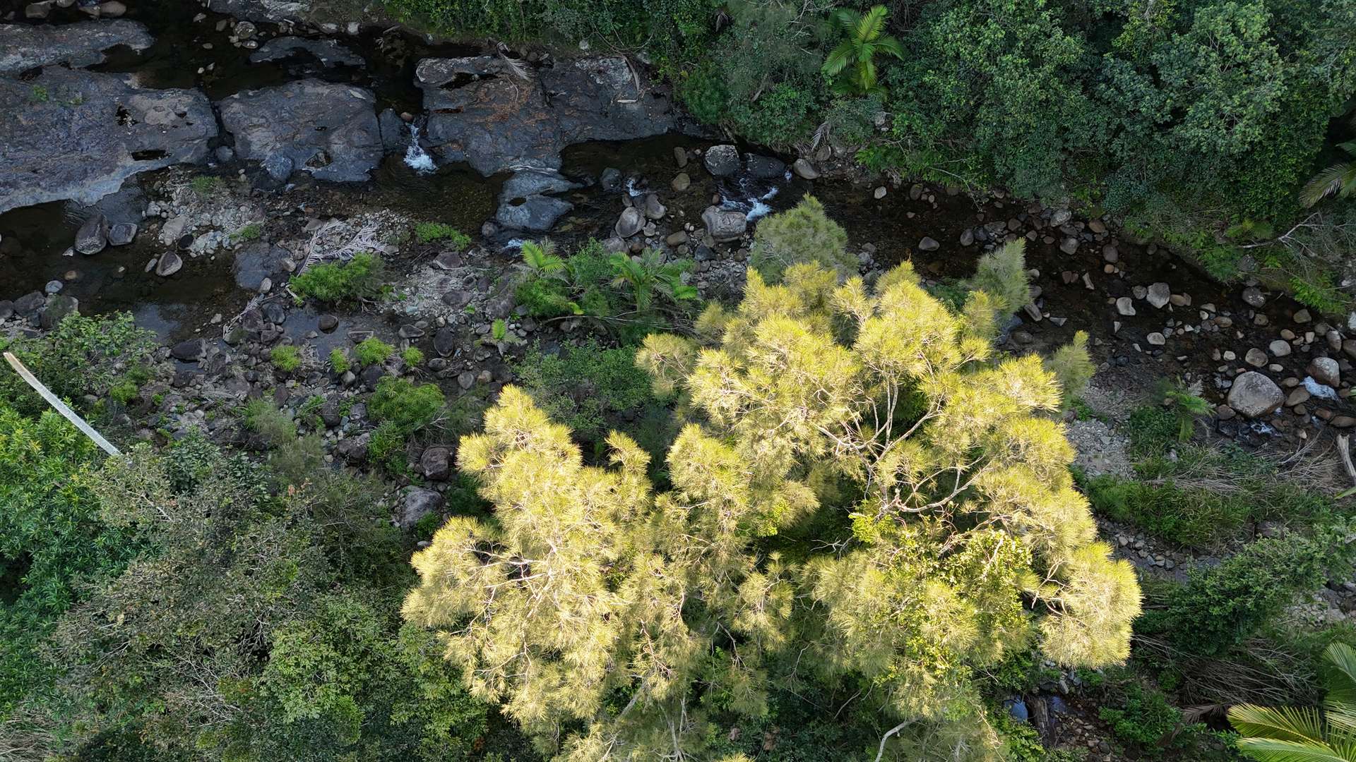 Lot 2 Harris Road, Owens Creek For Sale by Farmbuy.com - image 12