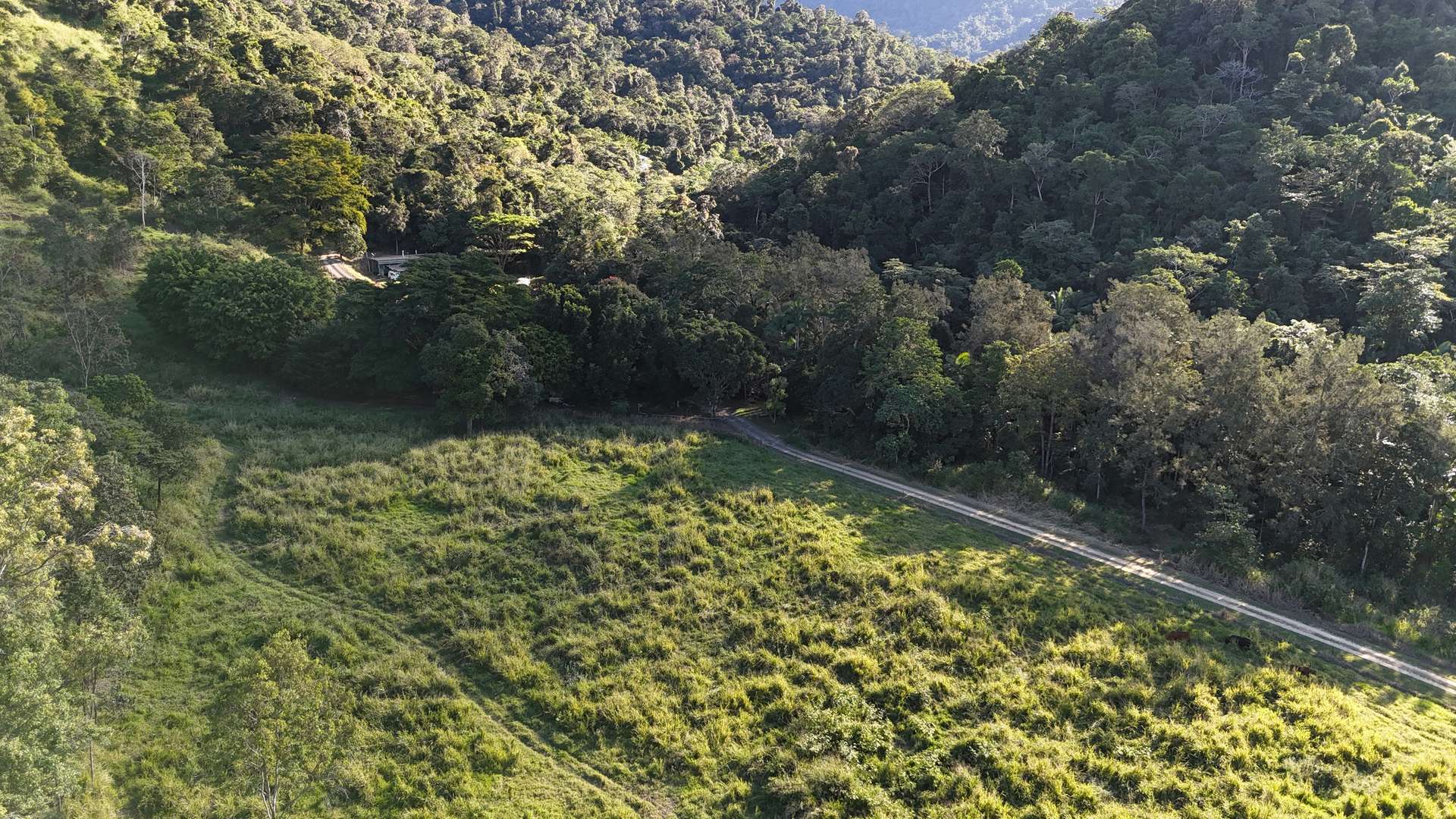 Lot 2 Harris Road, Owens Creek For Sale by Farmbuy.com - image 13