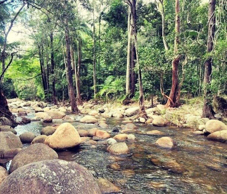 Lot 2 Harris Road, Owens Creek For Sale by Farmbuy.com - image 17
