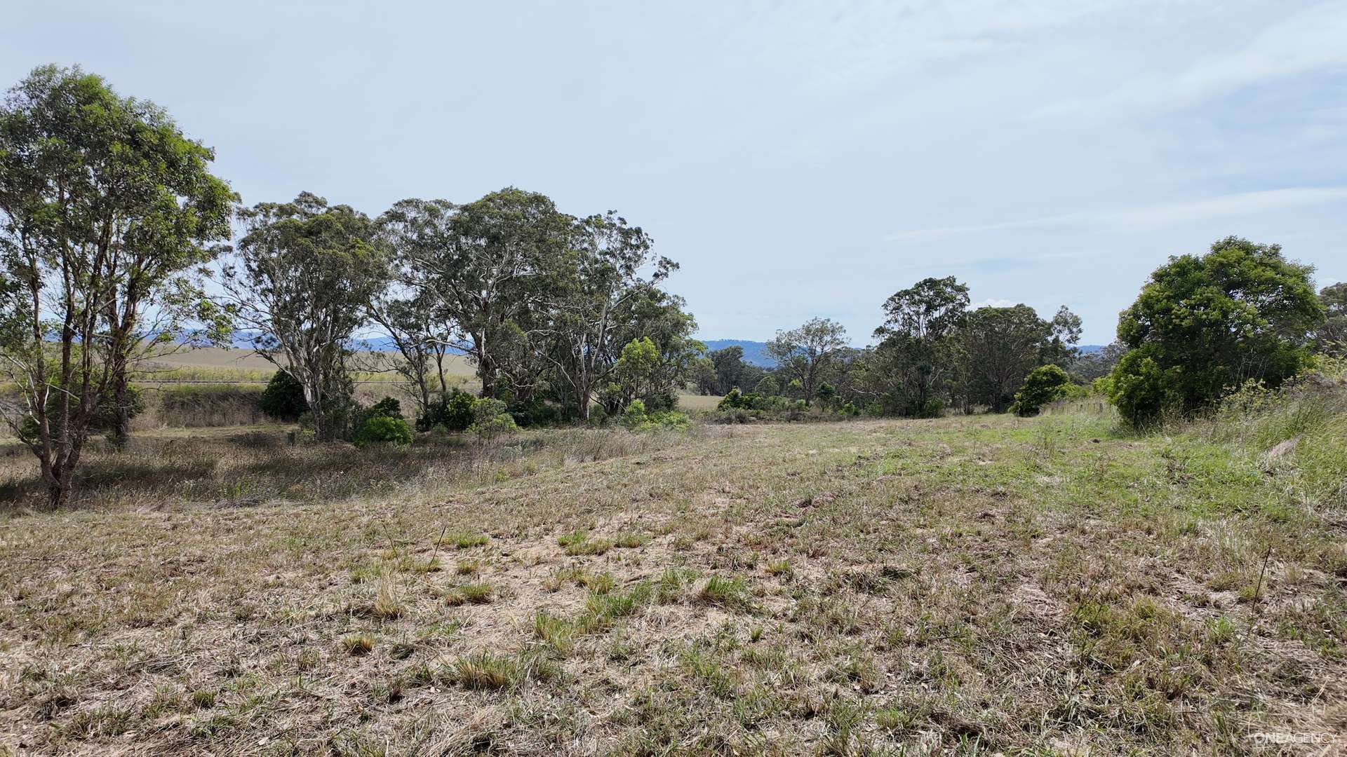 Lot 52 New England Highway, Murulla For Sale by Farmbuy.com - image 4
