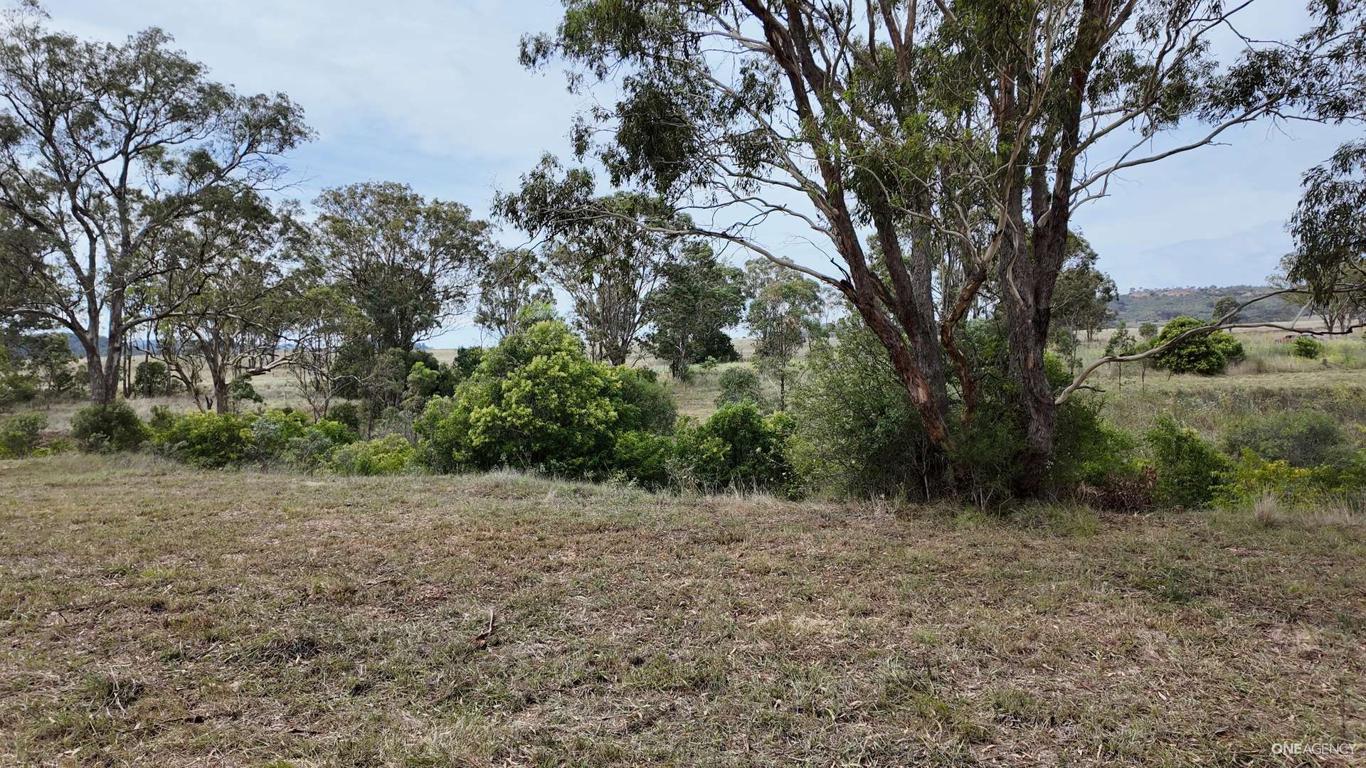 Lot 52 New England Highway, Murulla For Sale by Farmbuy.com - image 7