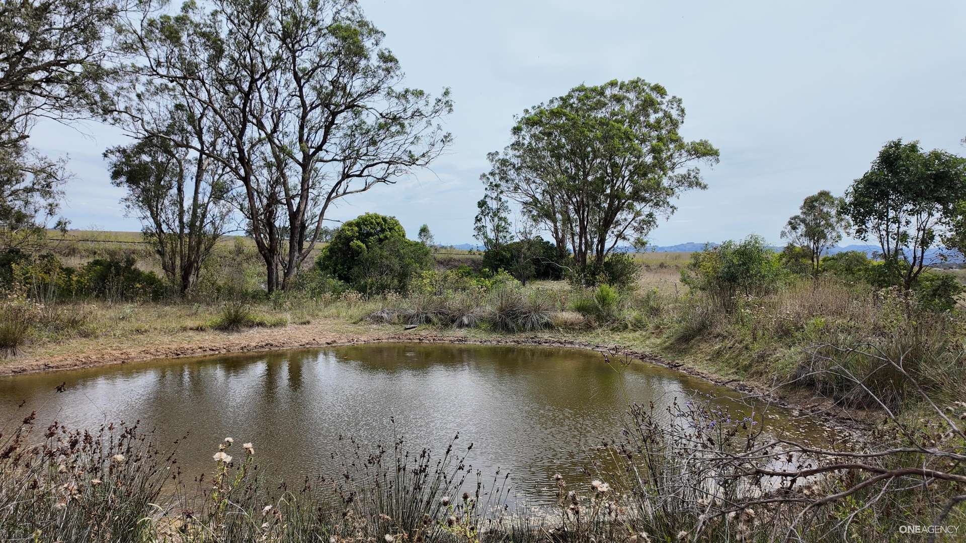 Lot 52 New England Highway, Murulla For Sale by Farmbuy.com - image 5
