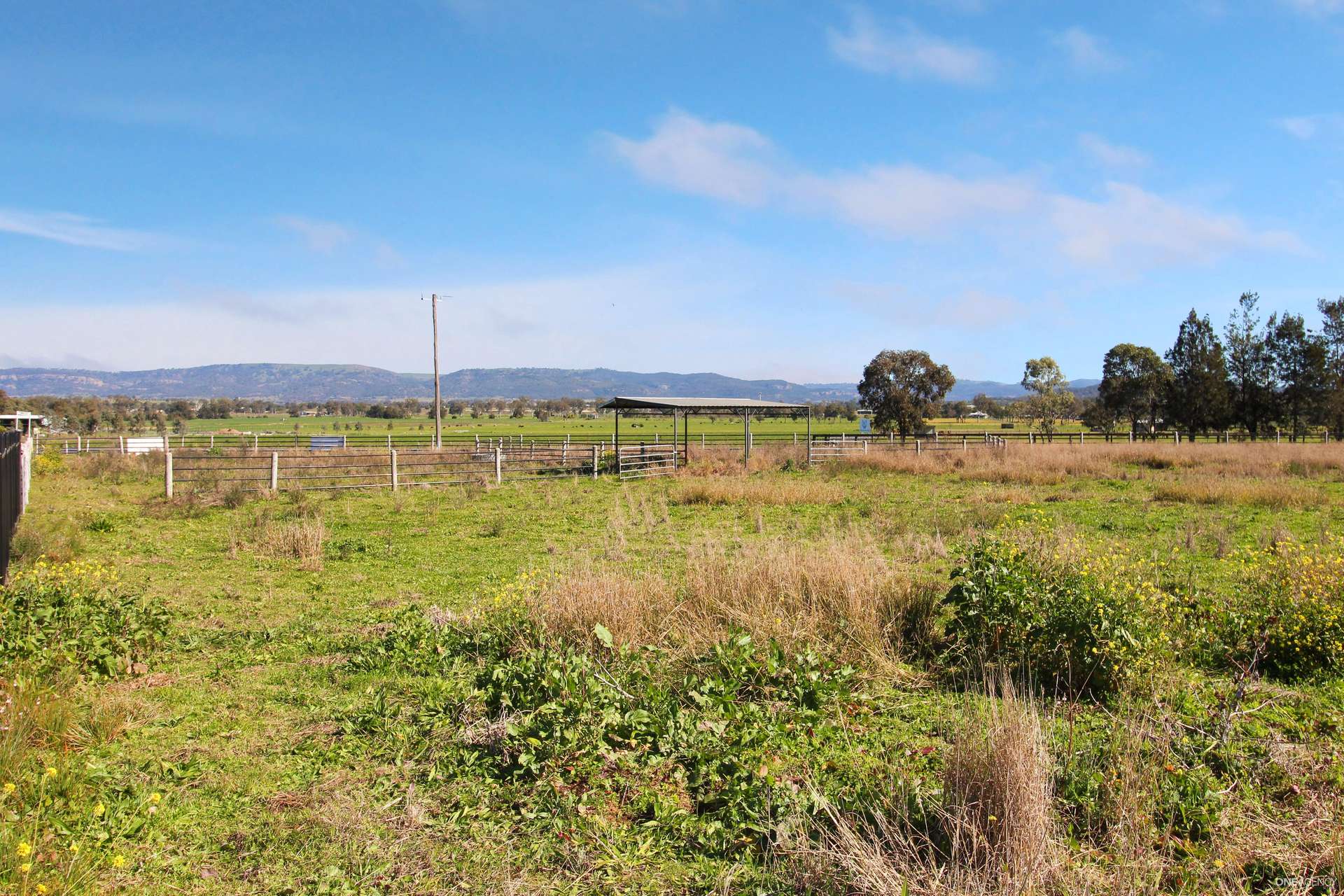13 New England Highway, Scone For Sale by Farmbuy.com - image 3