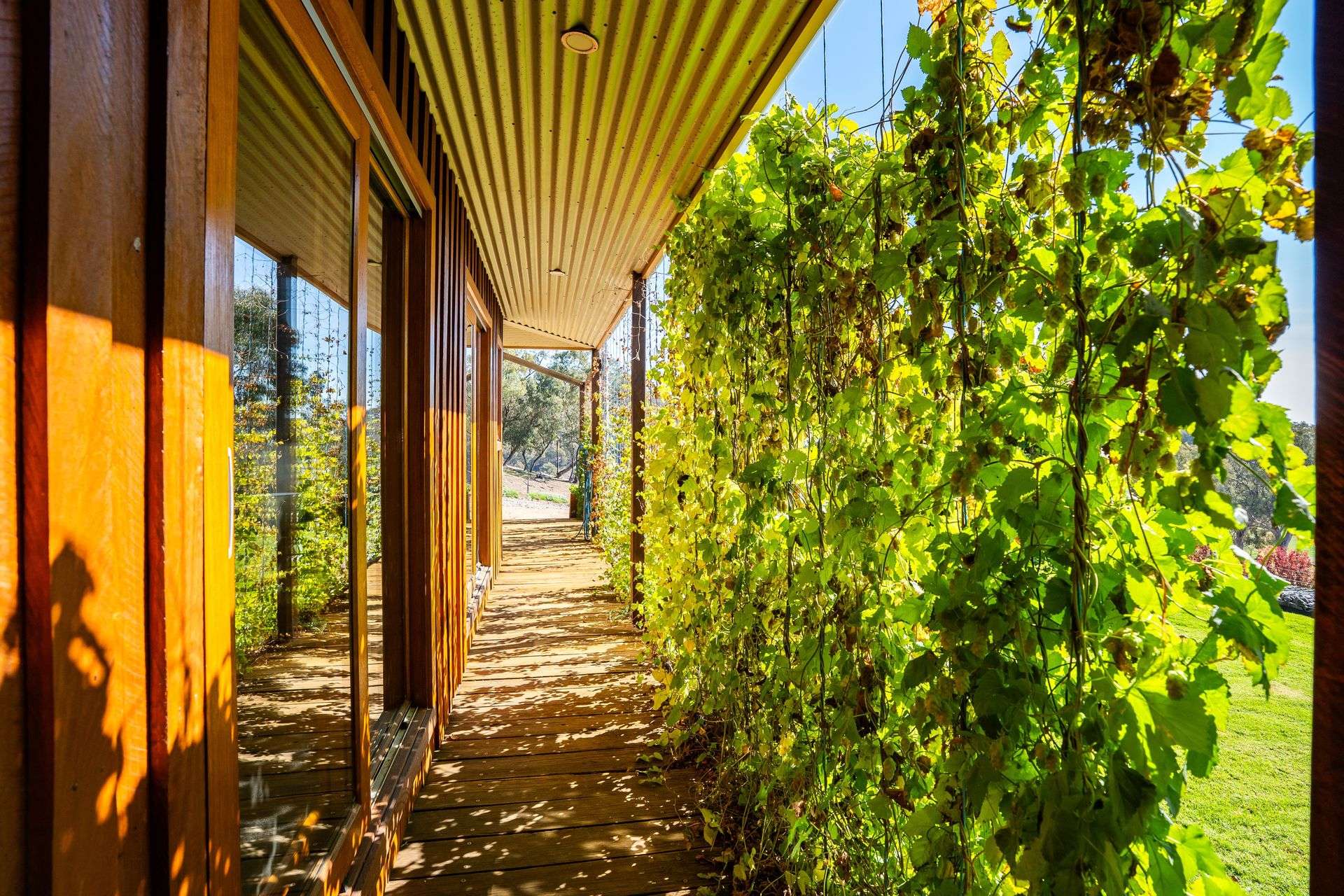 126 Lewis Road, Tatong For Sale by Farmbuy.com - image 9