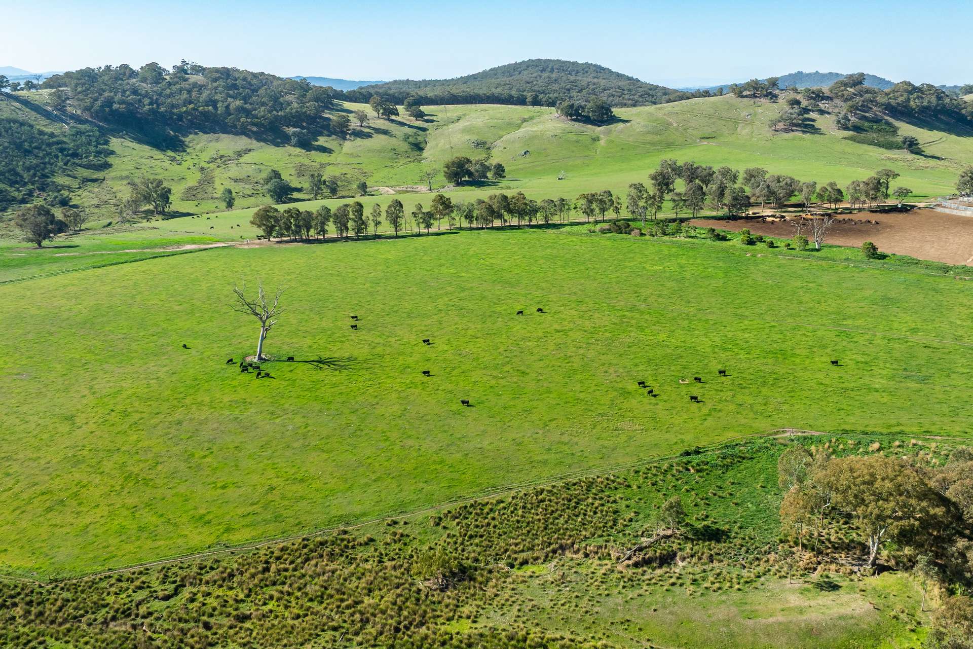 126 Lewis Road, Tatong For Sale by Farmbuy.com - image 2