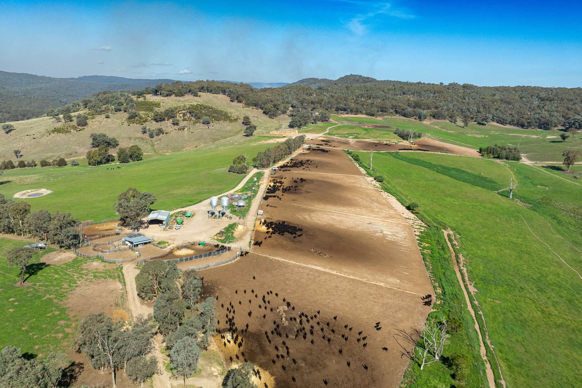 126 Lewis Road, Tatong For Sale by Farmbuy.com - image 27