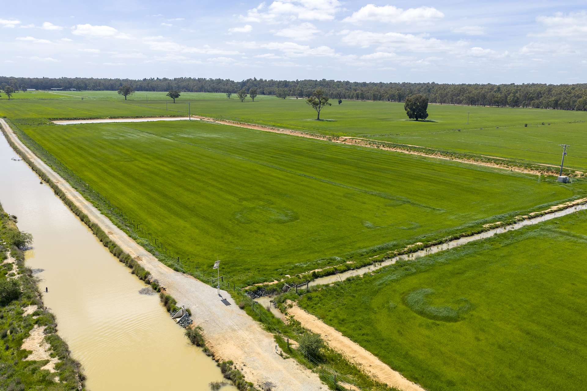 2050 Scobie Road, Yambuna Auction by Farmbuy.com - image 3