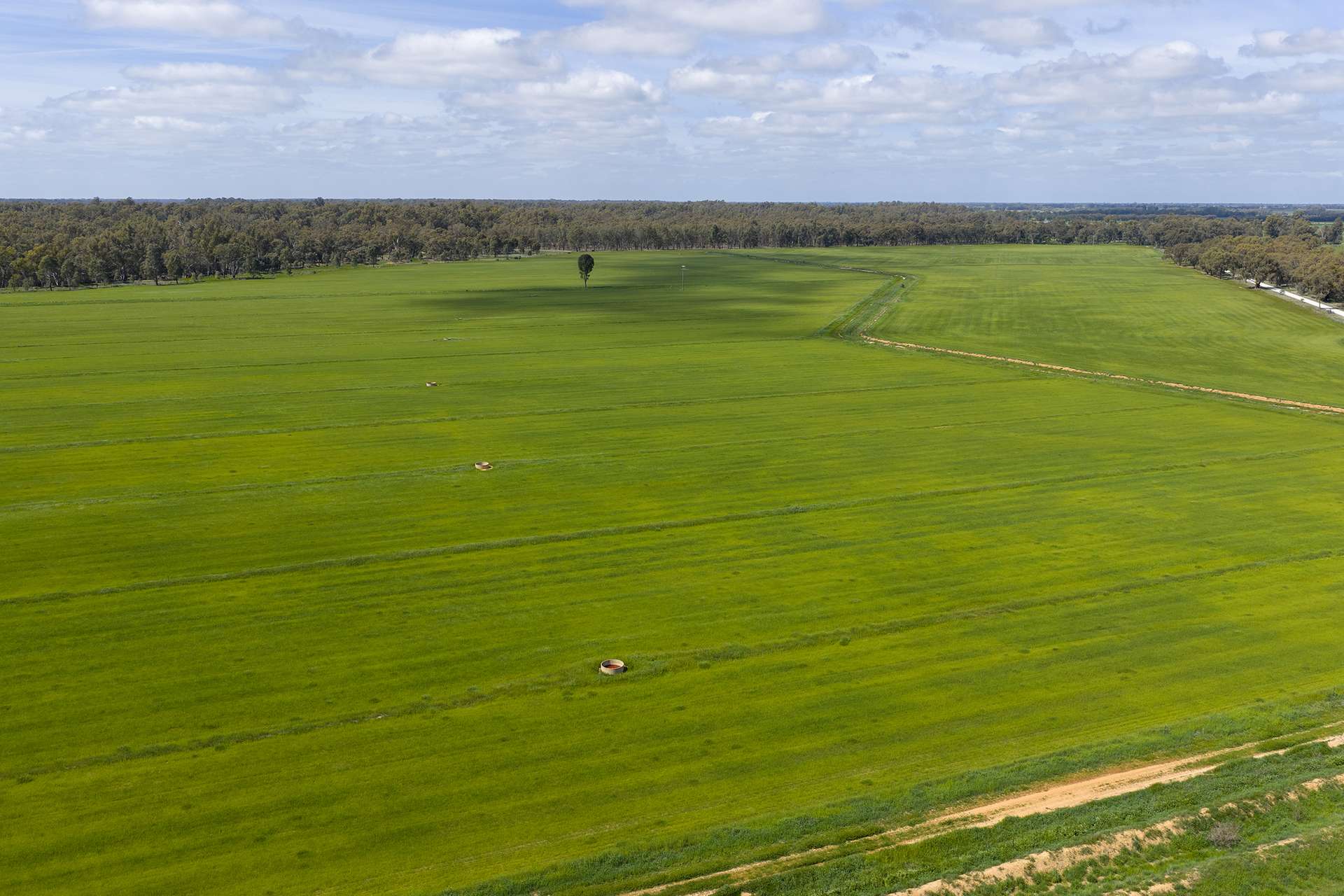 2050 Scobie Road, Yambuna Auction by Farmbuy.com - image 5