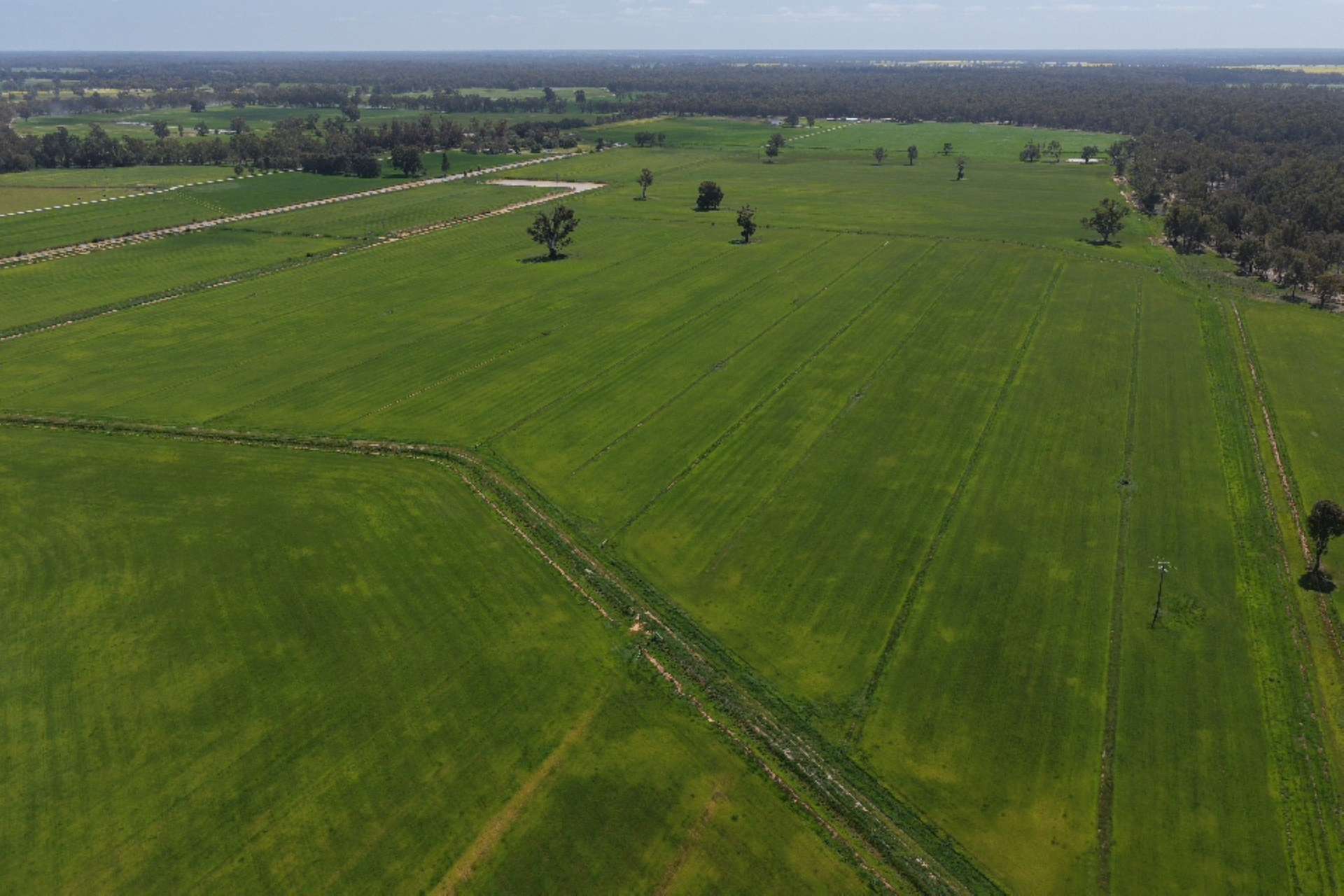 2050 Scobie Road, Yambuna Auction by Farmbuy.com - image 4