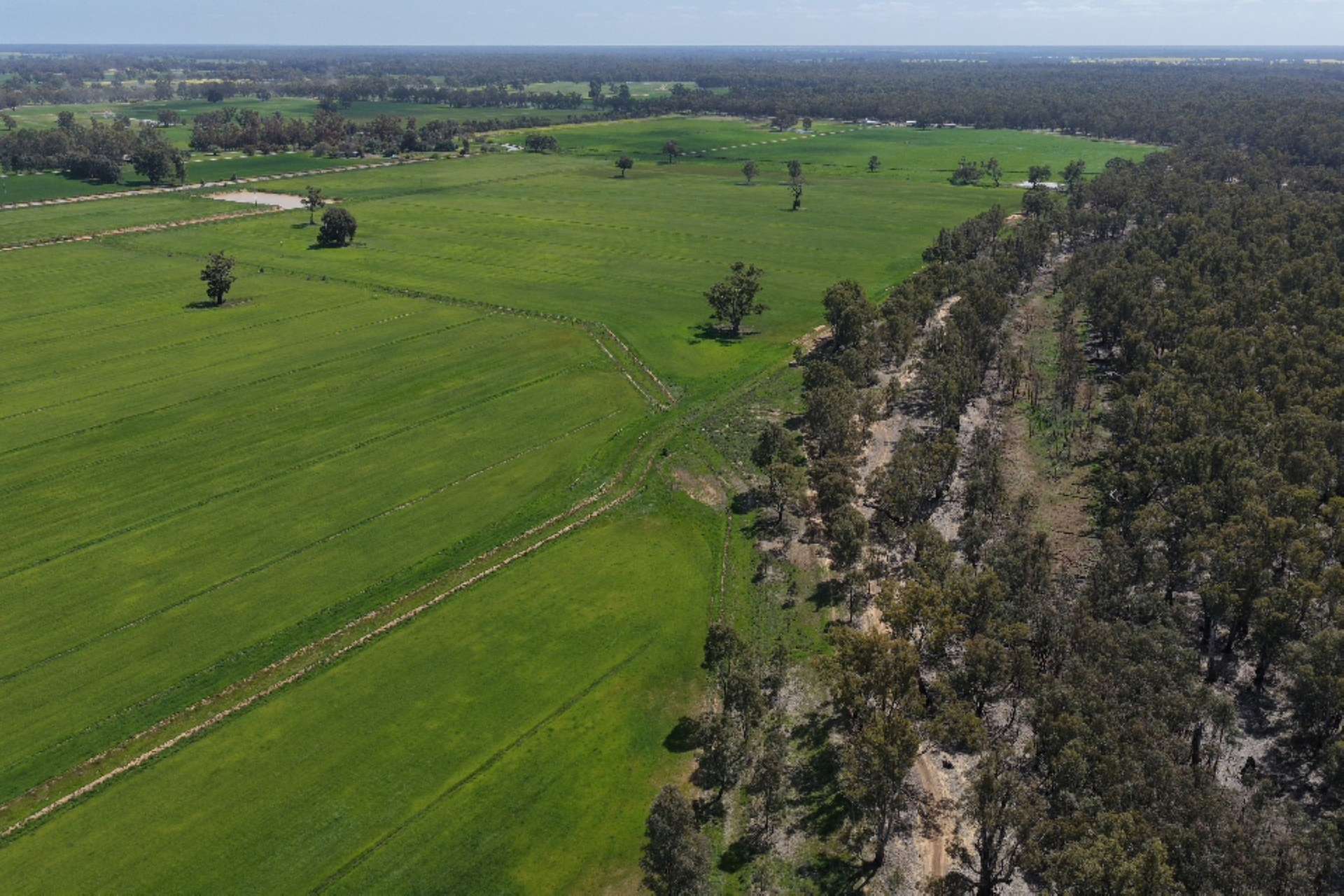 2050 Scobie Road, Yambuna Auction by Farmbuy.com - image 7