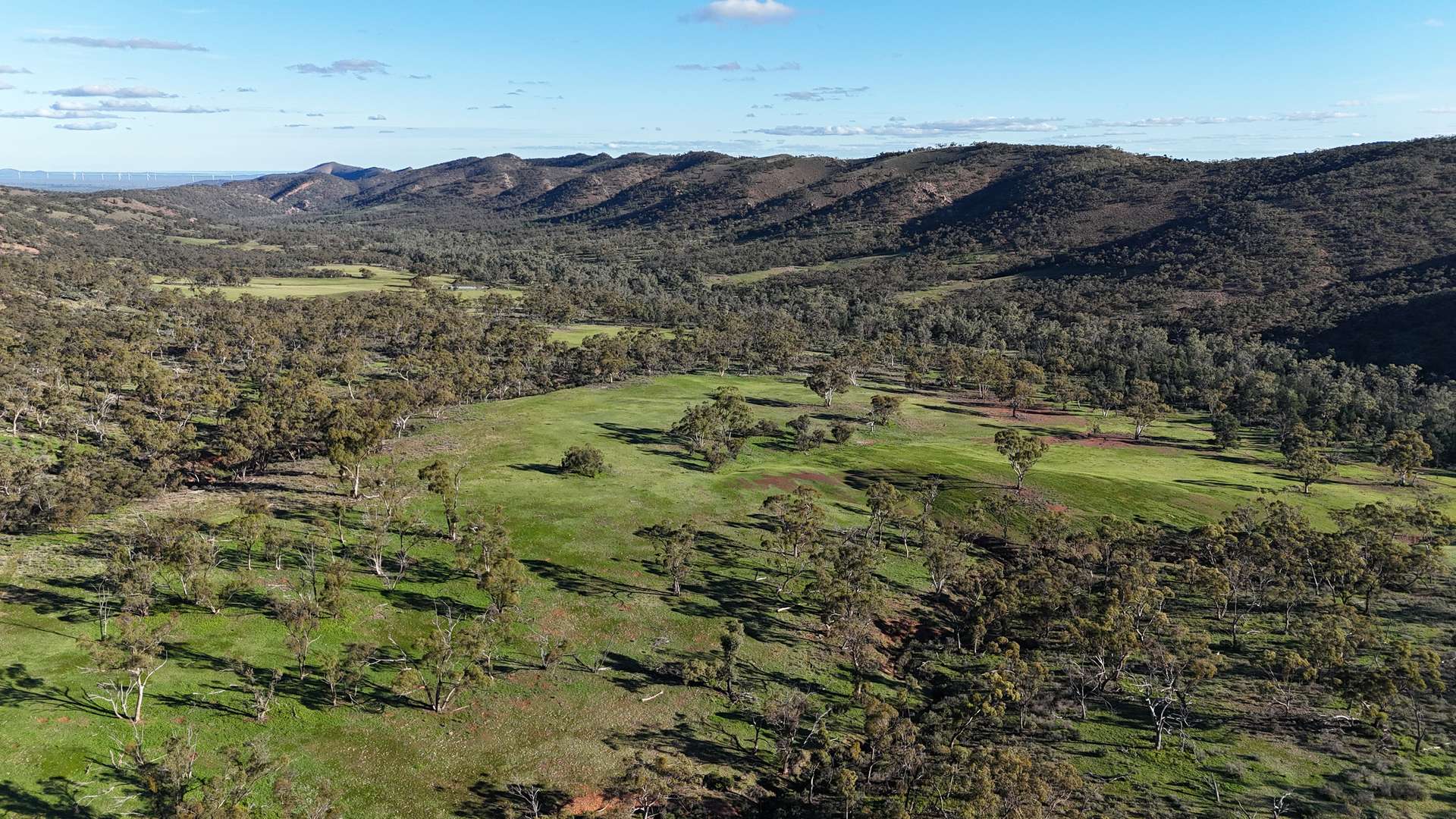 1 Albury Creek Track, Quorn Auction by Farmbuy.com - image 17