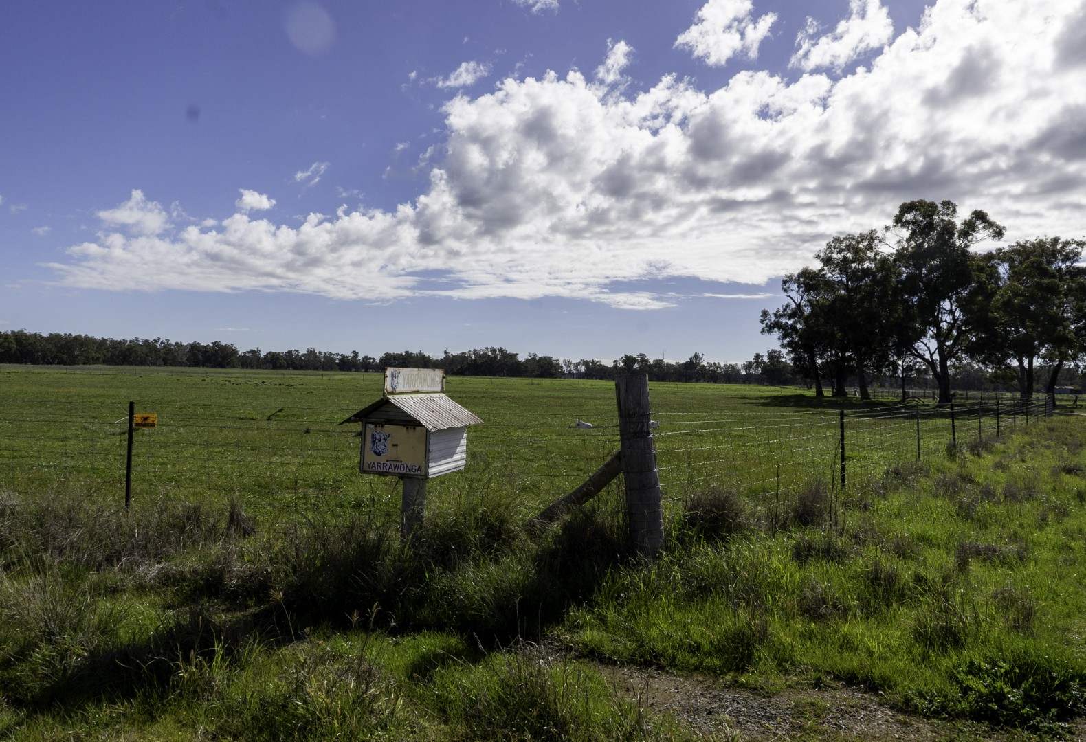 3418 Castlereagh Highway, Breelong For Sale by Farmbuy.com - image 5
