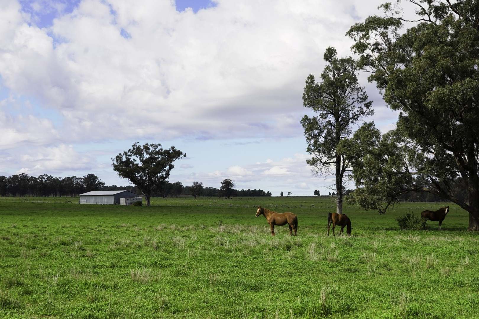 3418 Castlereagh Highway, Breelong For Sale by Farmbuy.com - image 31