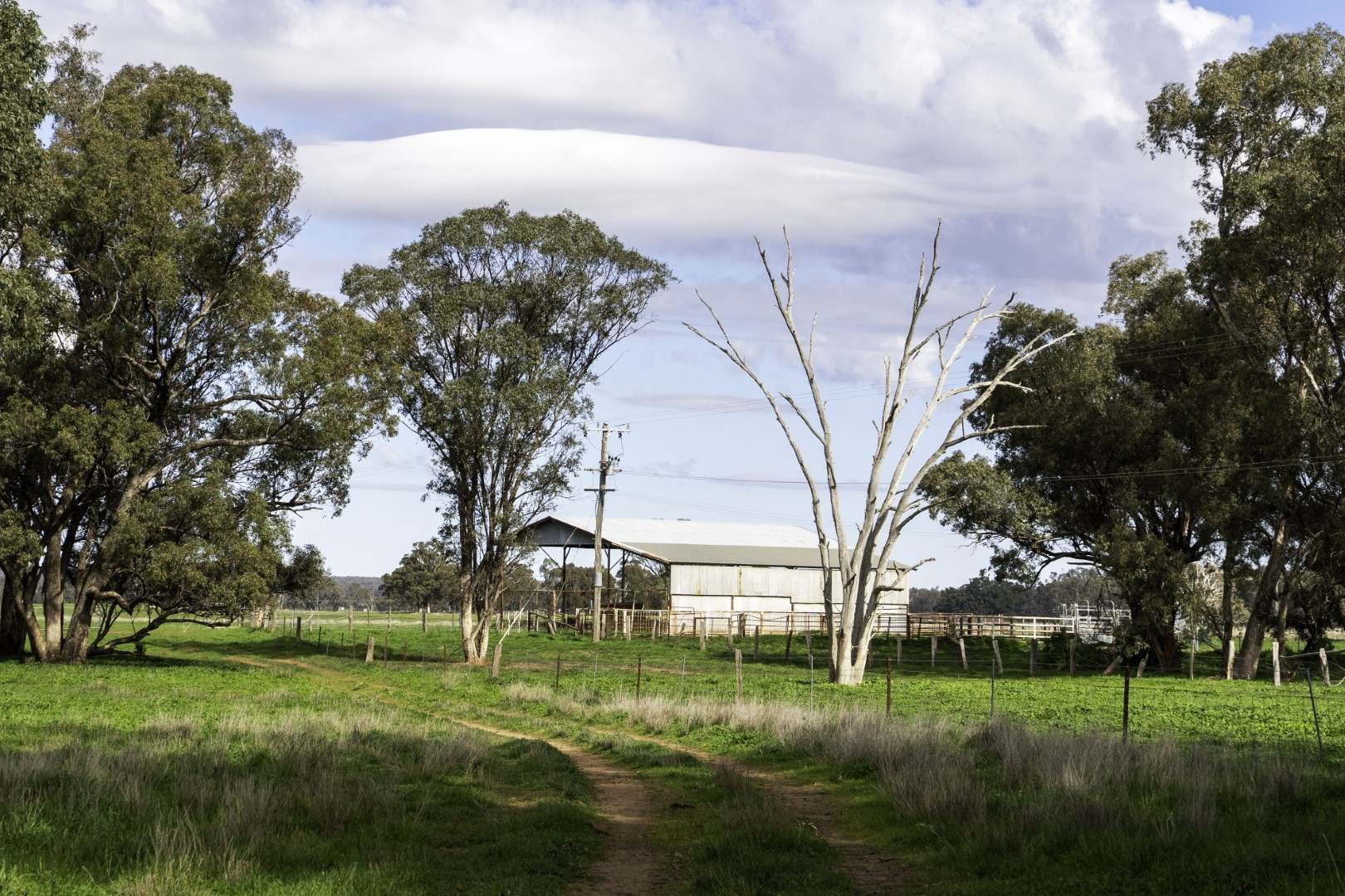 3418 Castlereagh Highway, Breelong For Sale by Farmbuy.com - image 23