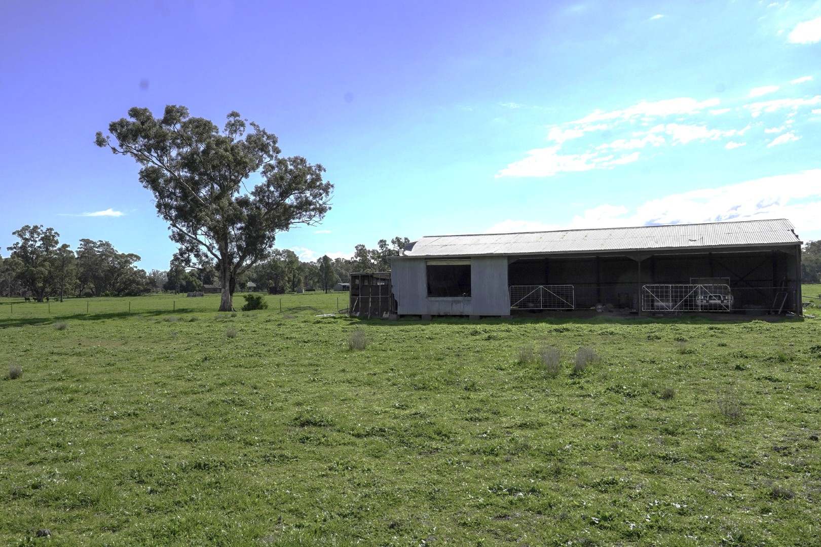 3418 Castlereagh Highway, Breelong For Sale by Farmbuy.com - image 21