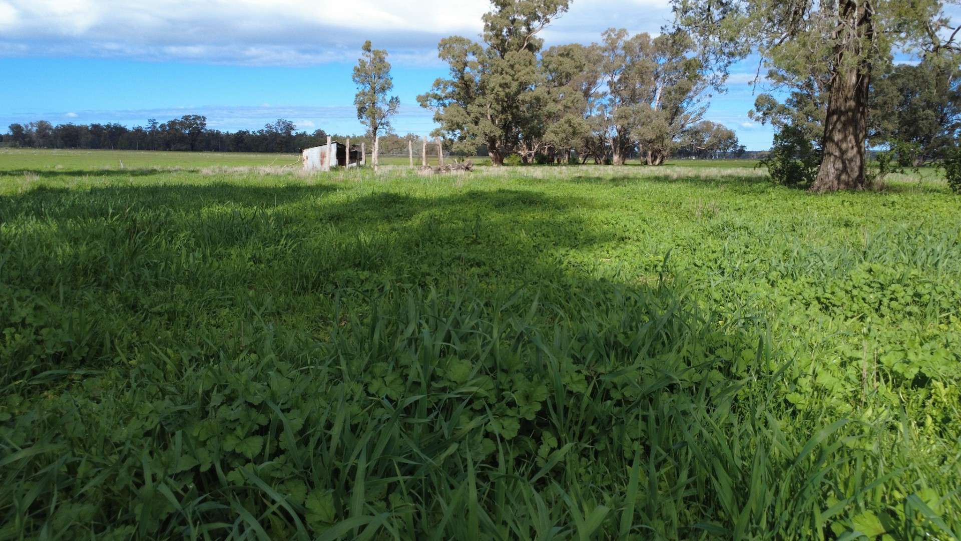 3418 Castlereagh Highway, Breelong For Sale by Farmbuy.com - image 34
