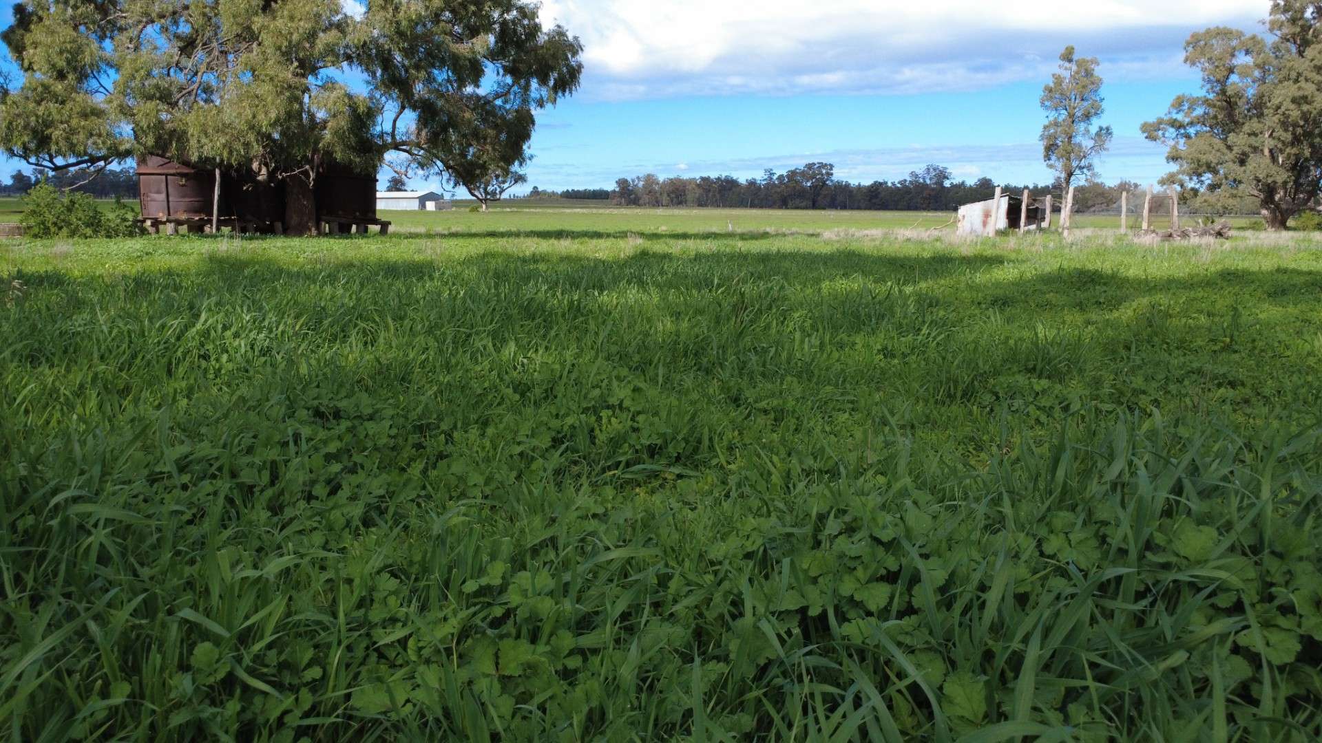 3418 Castlereagh Highway, Breelong For Sale by Farmbuy.com - image 33