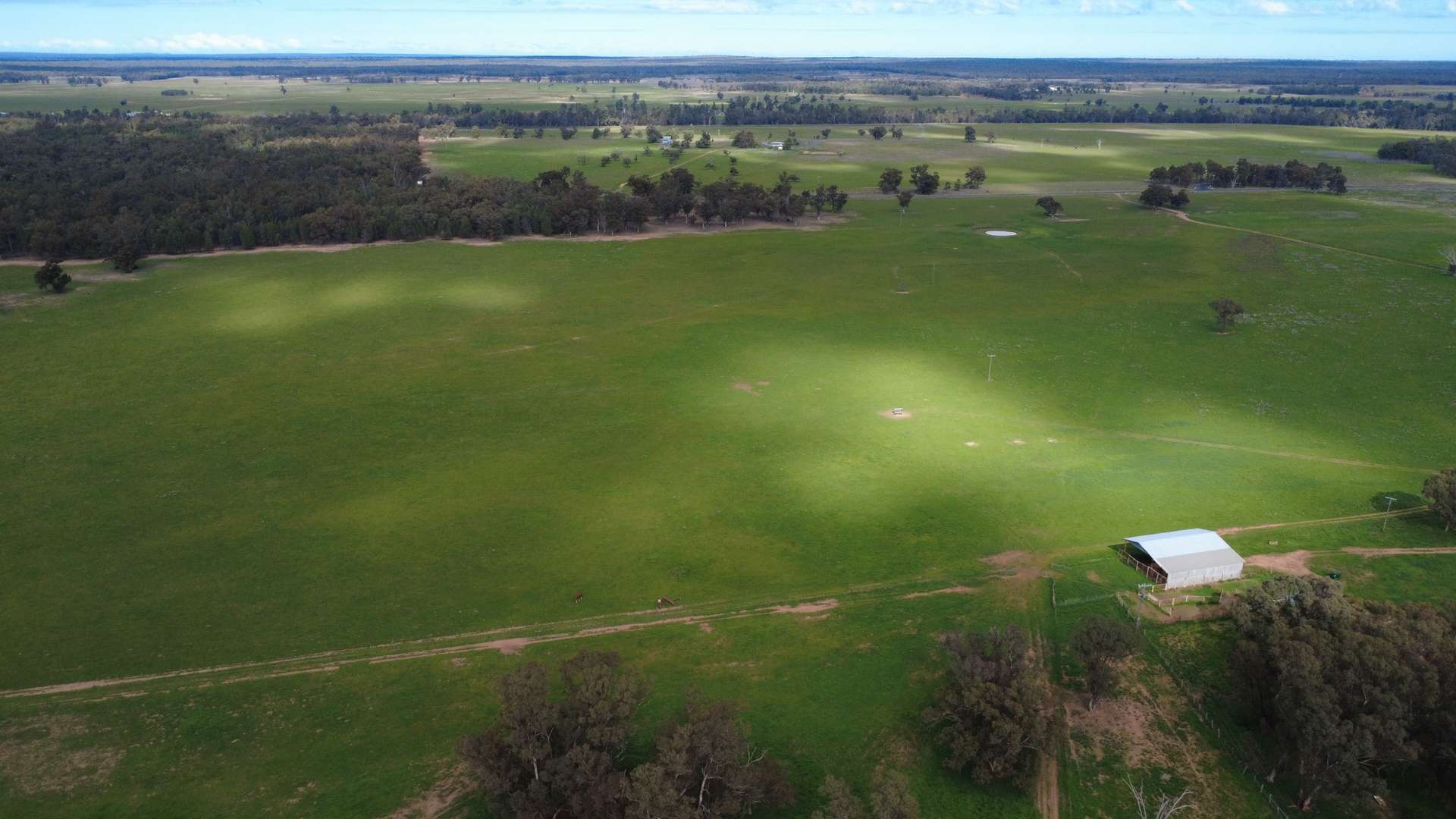 3418 Castlereagh Highway, Breelong For Sale by Farmbuy.com - image 30