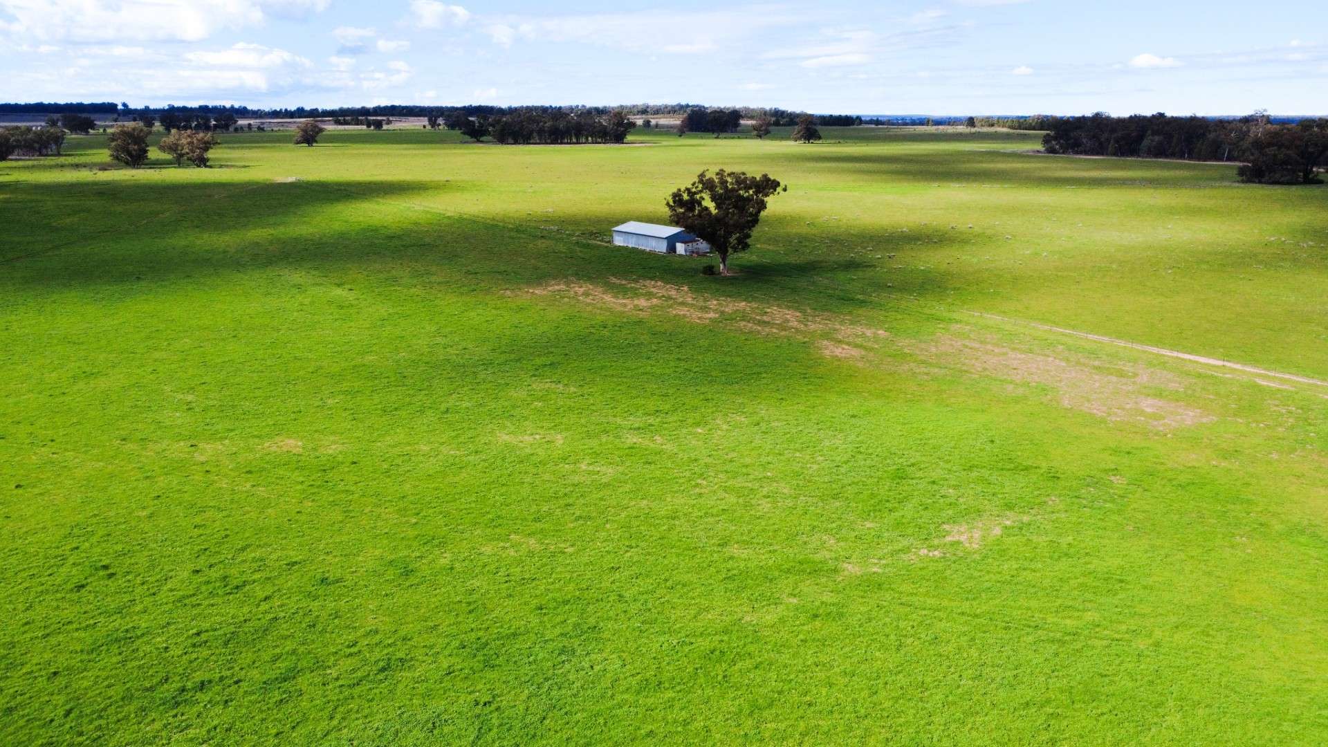 3418 Castlereagh Highway, Breelong For Sale by Farmbuy.com - image 2