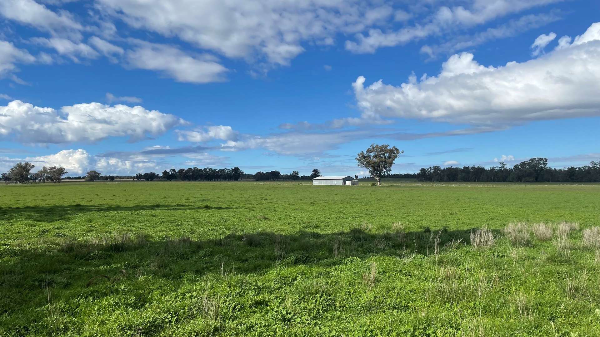 3418 Castlereagh Highway, Breelong For Sale by Farmbuy.com - image 32