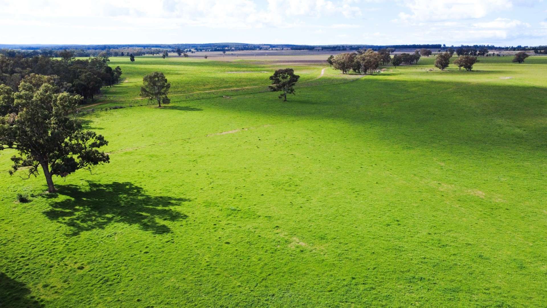 3418 Castlereagh Highway, Breelong For Sale by Farmbuy.com - image 4