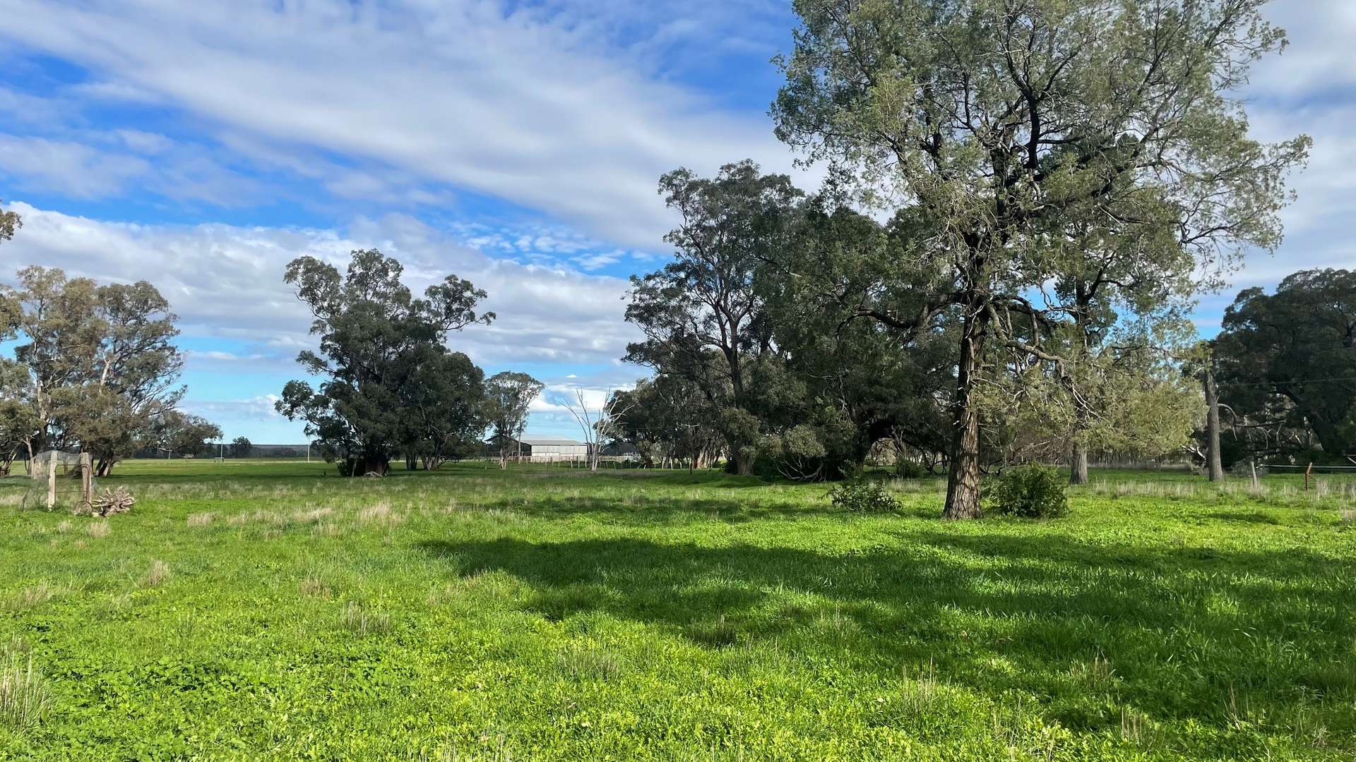 3418 Castlereagh Highway, Breelong For Sale by Farmbuy.com - image 22