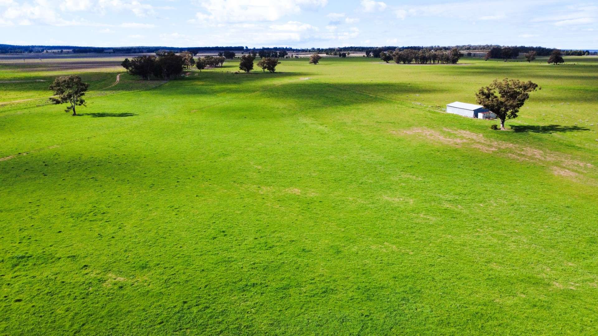 3418 Castlereagh Highway, Breelong For Sale by Farmbuy.com - image 3