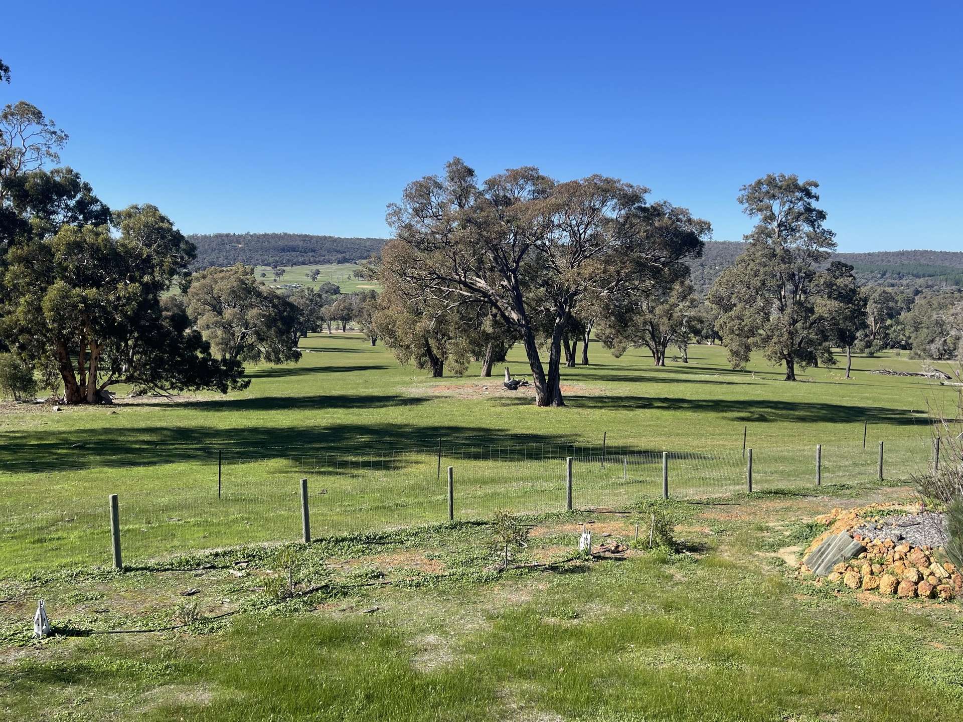 111 Forrest St, Boddington For Sale by Farmbuy.com - image 14