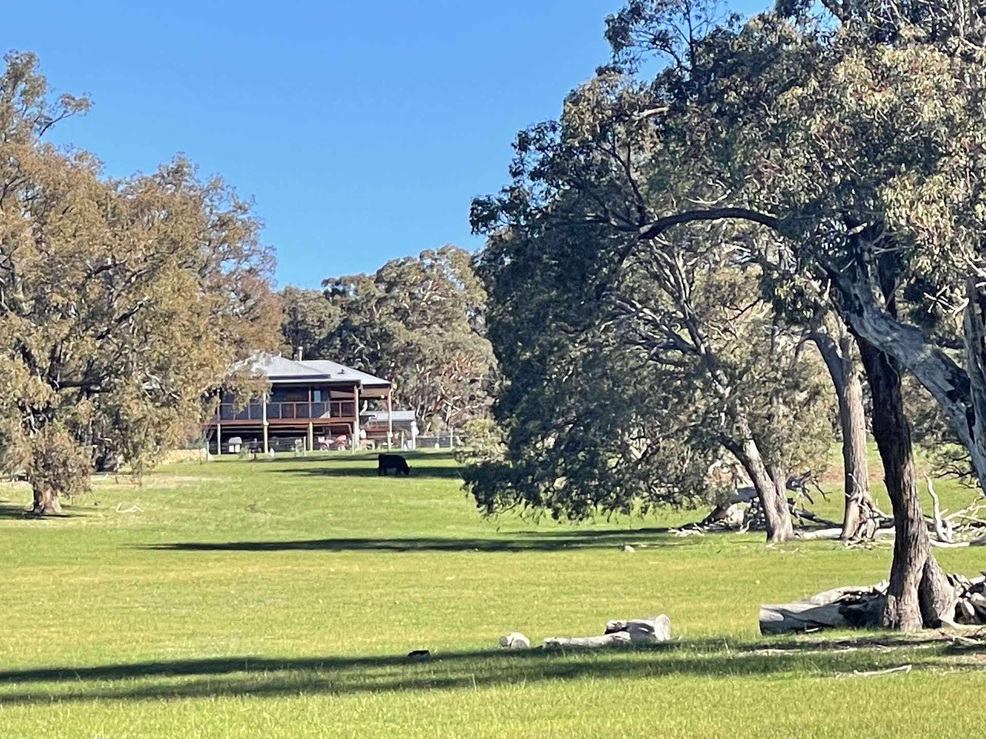 111 Forrest St, Boddington For Sale by Farmbuy.com - image 3