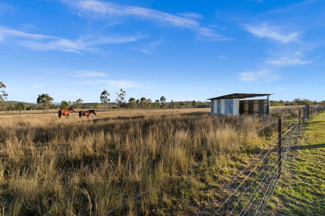 802 Pittsworth Felton Road, Pittsworth For Sale by Farmbuy.com - image 3