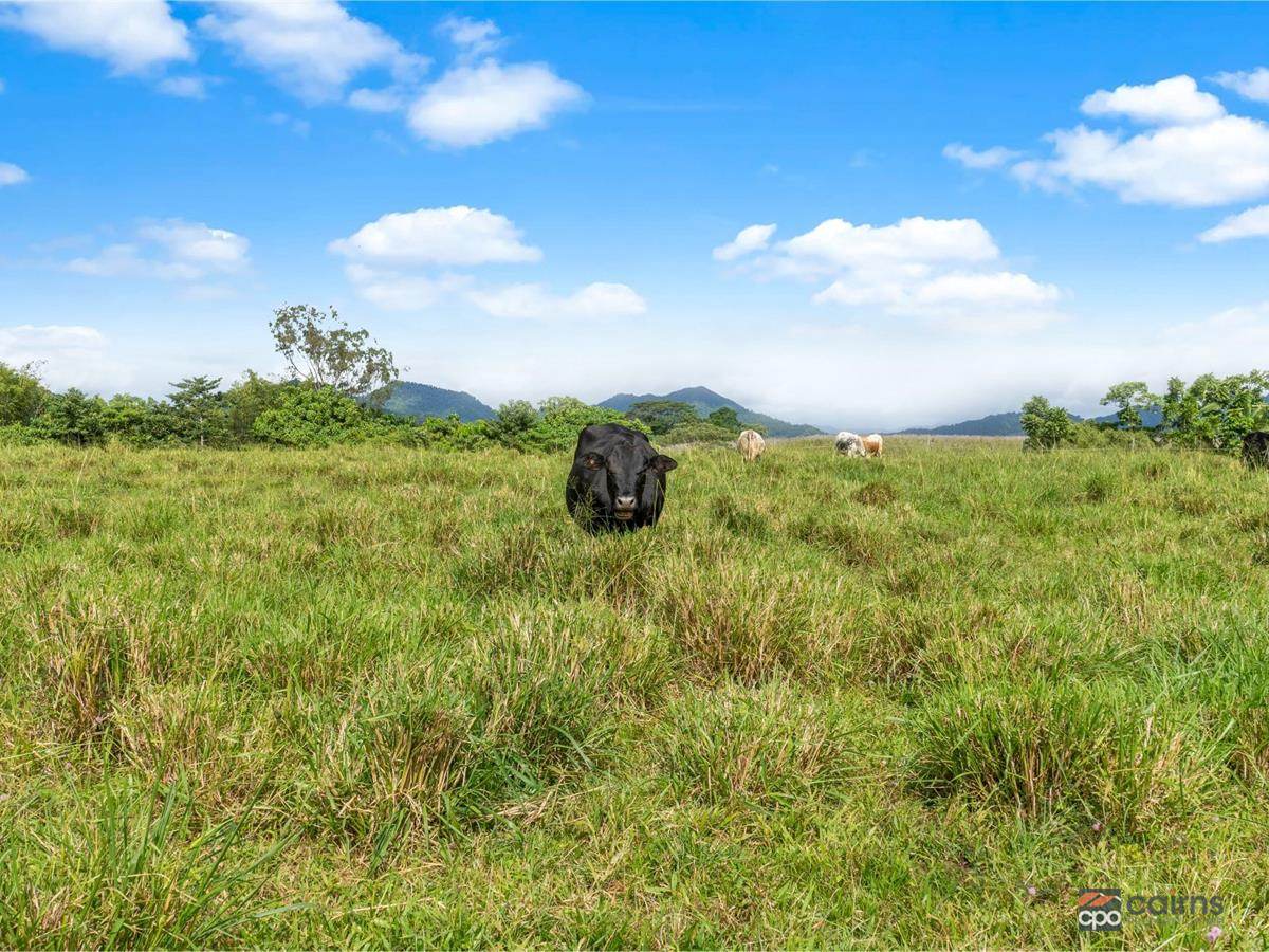 4 Menzies Road, Bartle Frere For Sale by Farmbuy.com - image 28