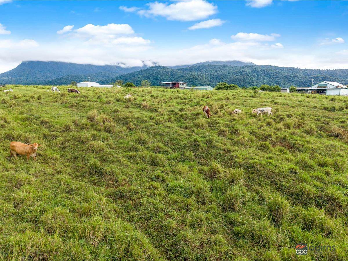 4 Menzies Road, Bartle Frere For Sale by Farmbuy.com - image 3