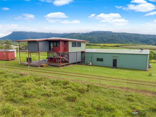 Farm For Sale - QLD - Bartle Frere - 4861 - Lifestyle, Income Potential & Breathtaking Mountain Views 
