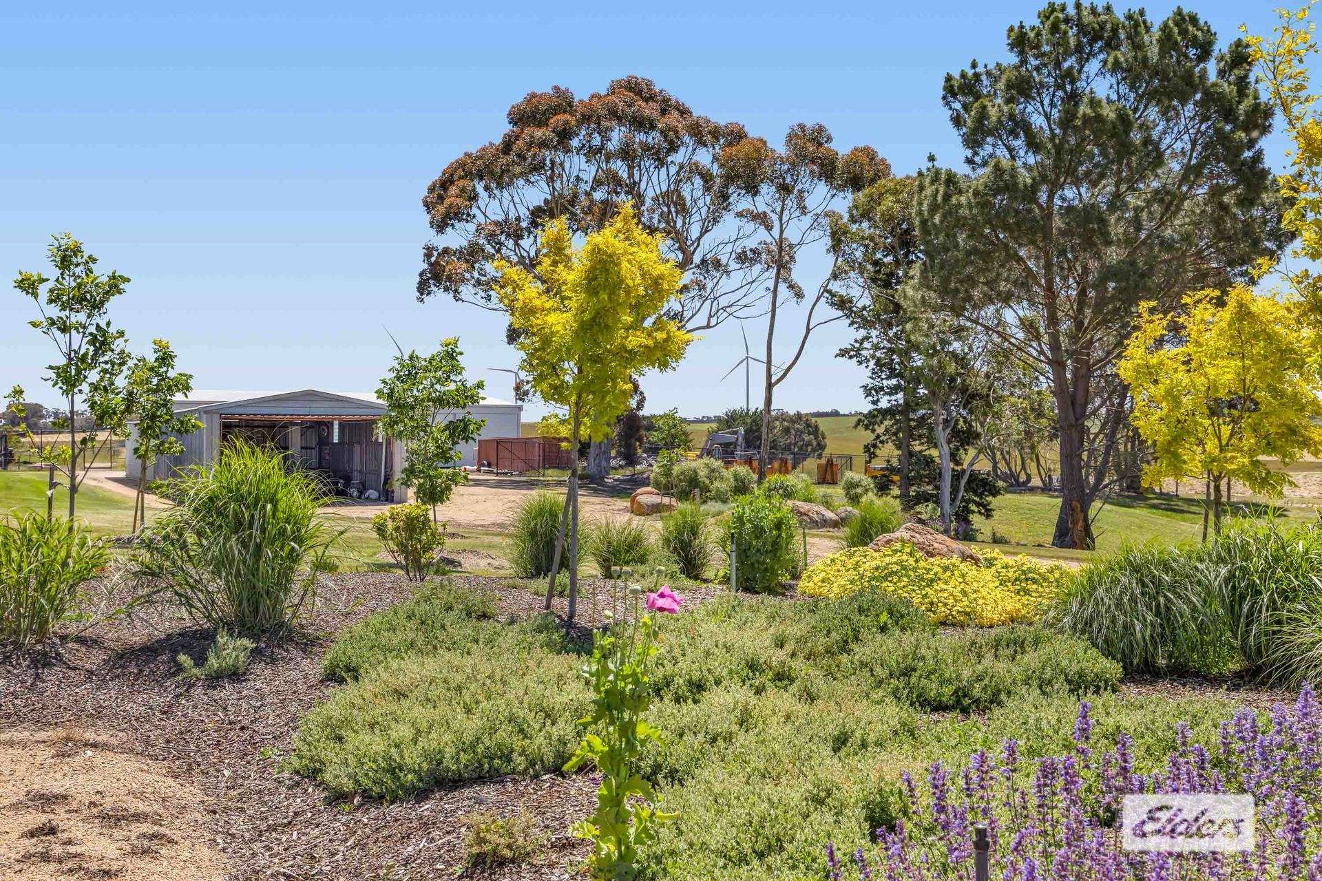 182 Frog Hollow Road, Lake Goldsmith For Sale by Farmbuy.com - image 29
