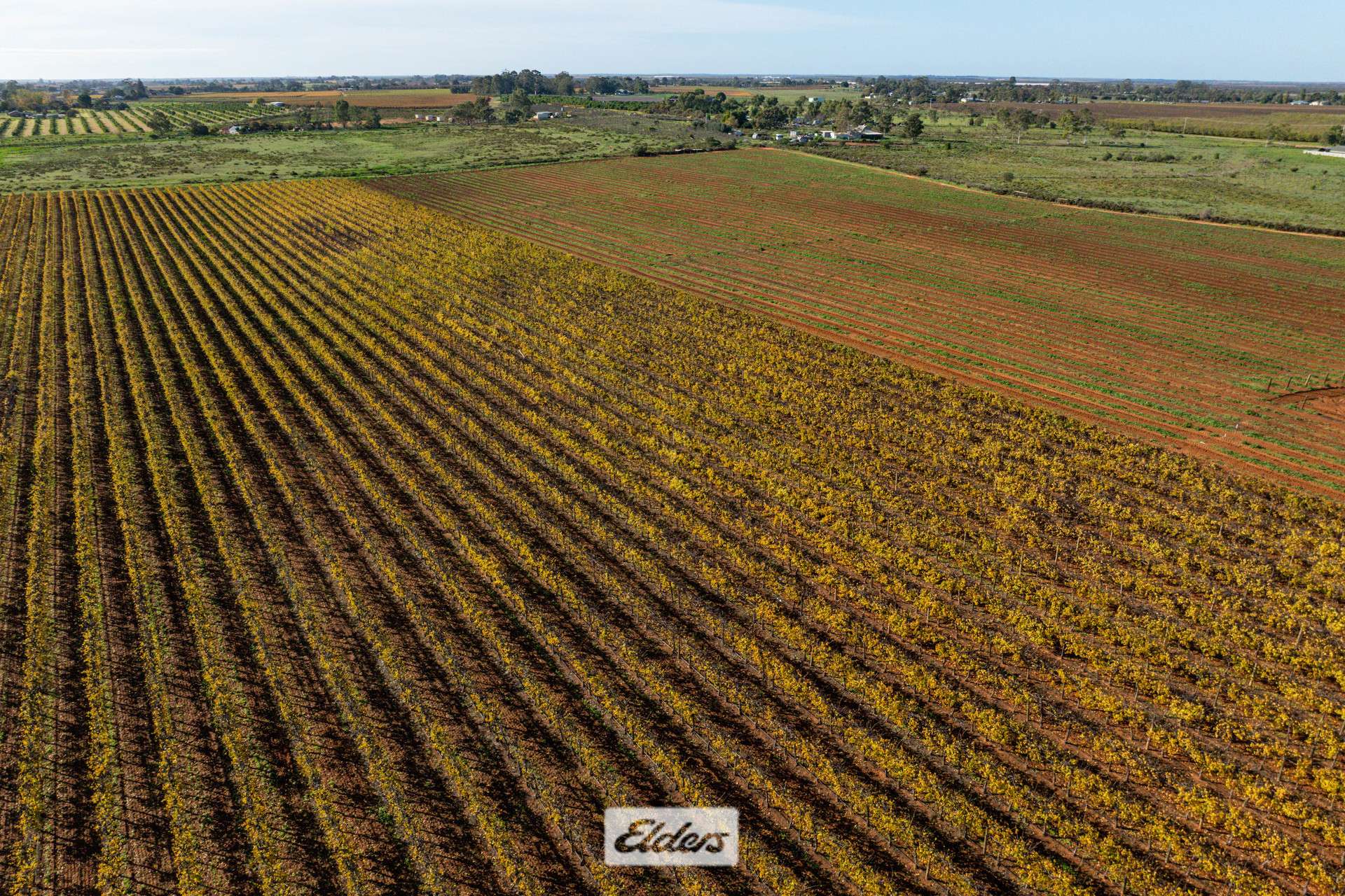 Lot/2 Lowan Avenue, Red Cliffs For Sale by Farmbuy.com - image 9