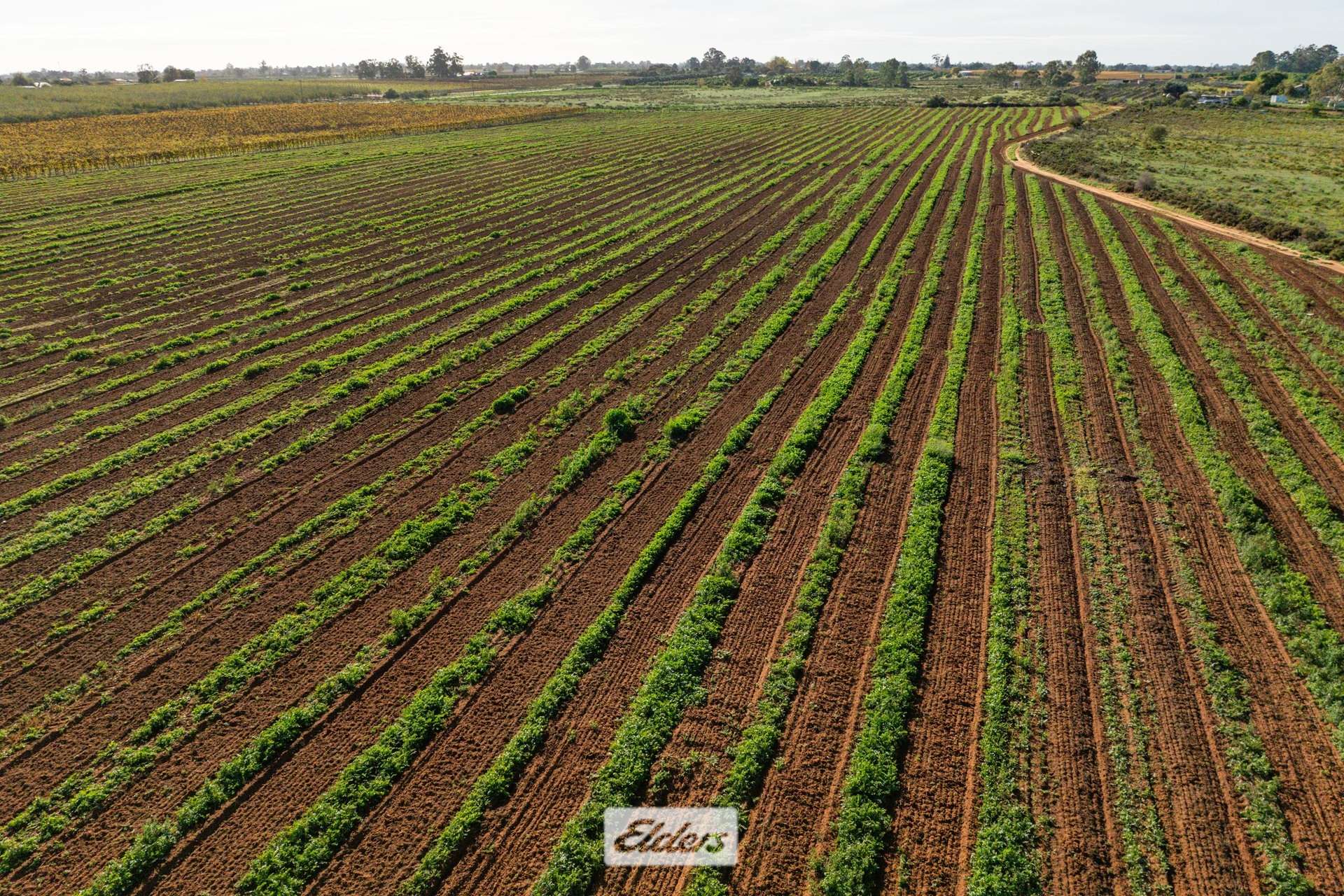 Lot/2 Lowan Avenue, Red Cliffs For Sale by Farmbuy.com - image 7
