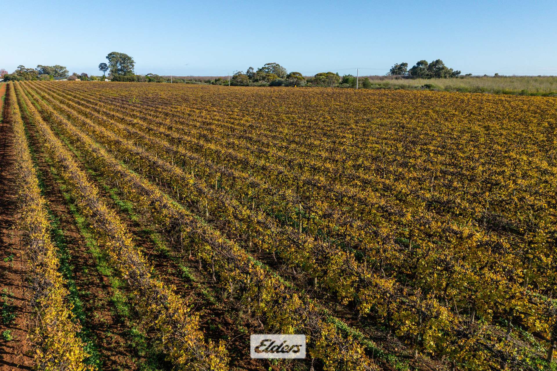 Lot/2 Lowan Avenue, Red Cliffs For Sale by Farmbuy.com - image 11