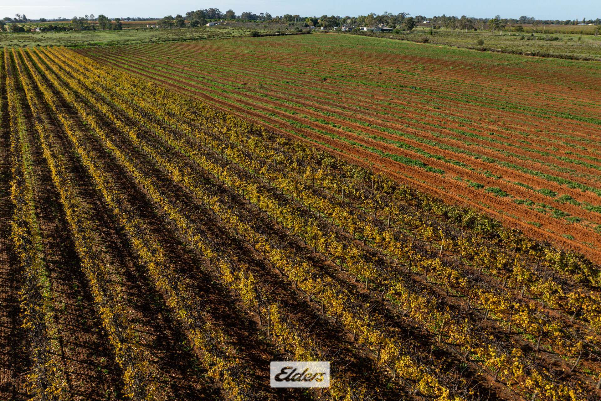 Lot/2 Lowan Avenue, Red Cliffs For Sale by Farmbuy.com - image 10