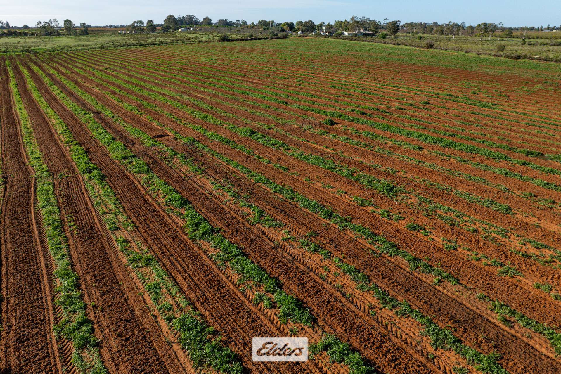 Lot/2 Lowan Avenue, Red Cliffs For Sale by Farmbuy.com - image 8