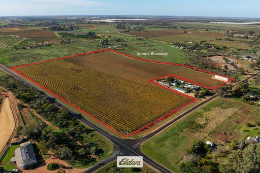 Farm For Sale - VIC - Red Cliffs - 3496 - QUALITY SOILS, EXCELLENT INFRASTRUCTURE & CLOSE TO TOWN 