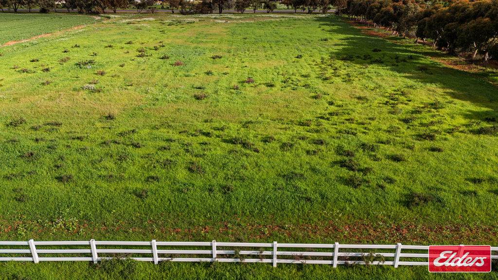 60 Border Drive, Deepdale For Sale by Farmbuy.com - image 4