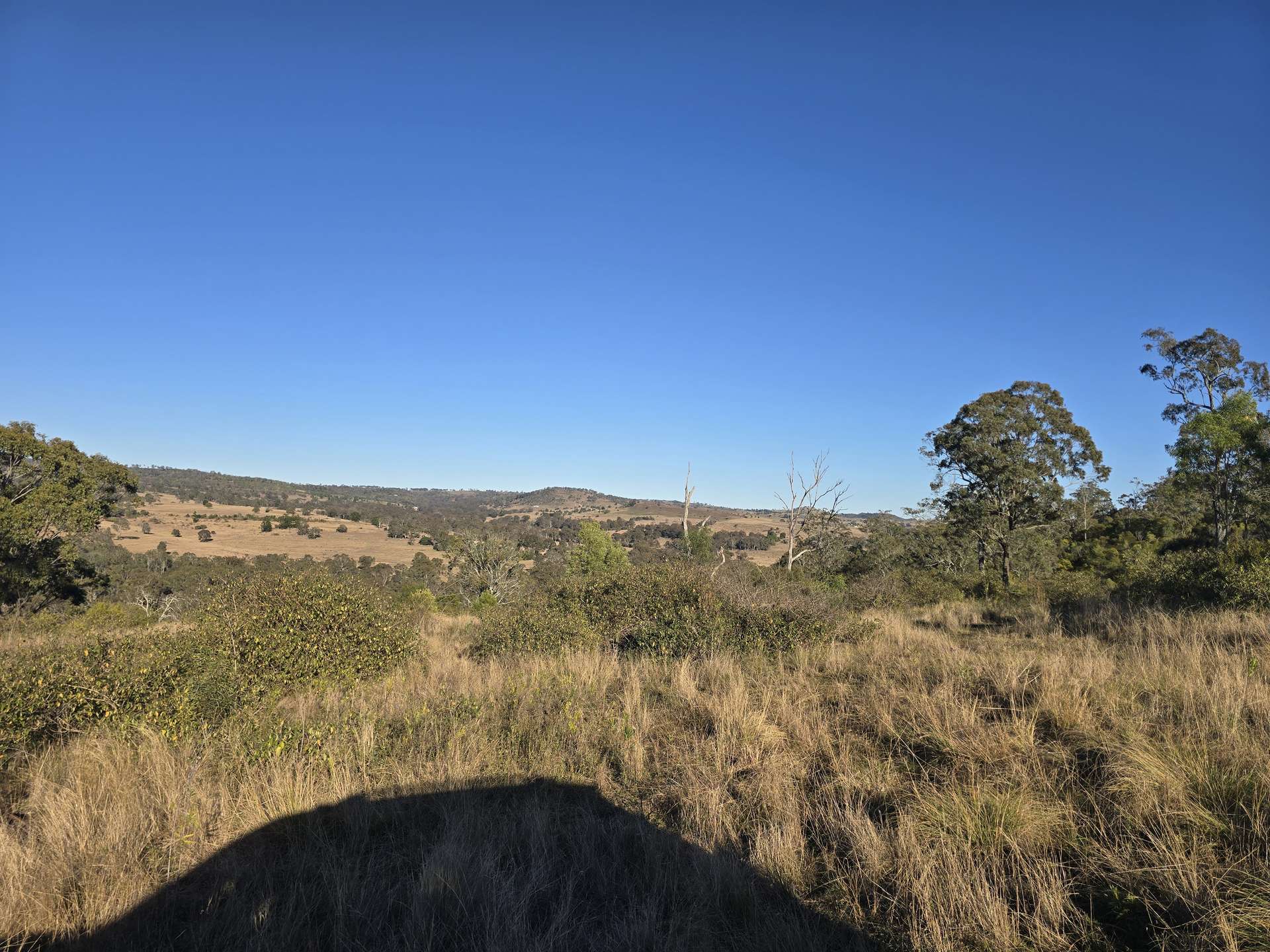 Lot 2 New England Highway, Thornville For Sale by Farmbuy.com - image 11