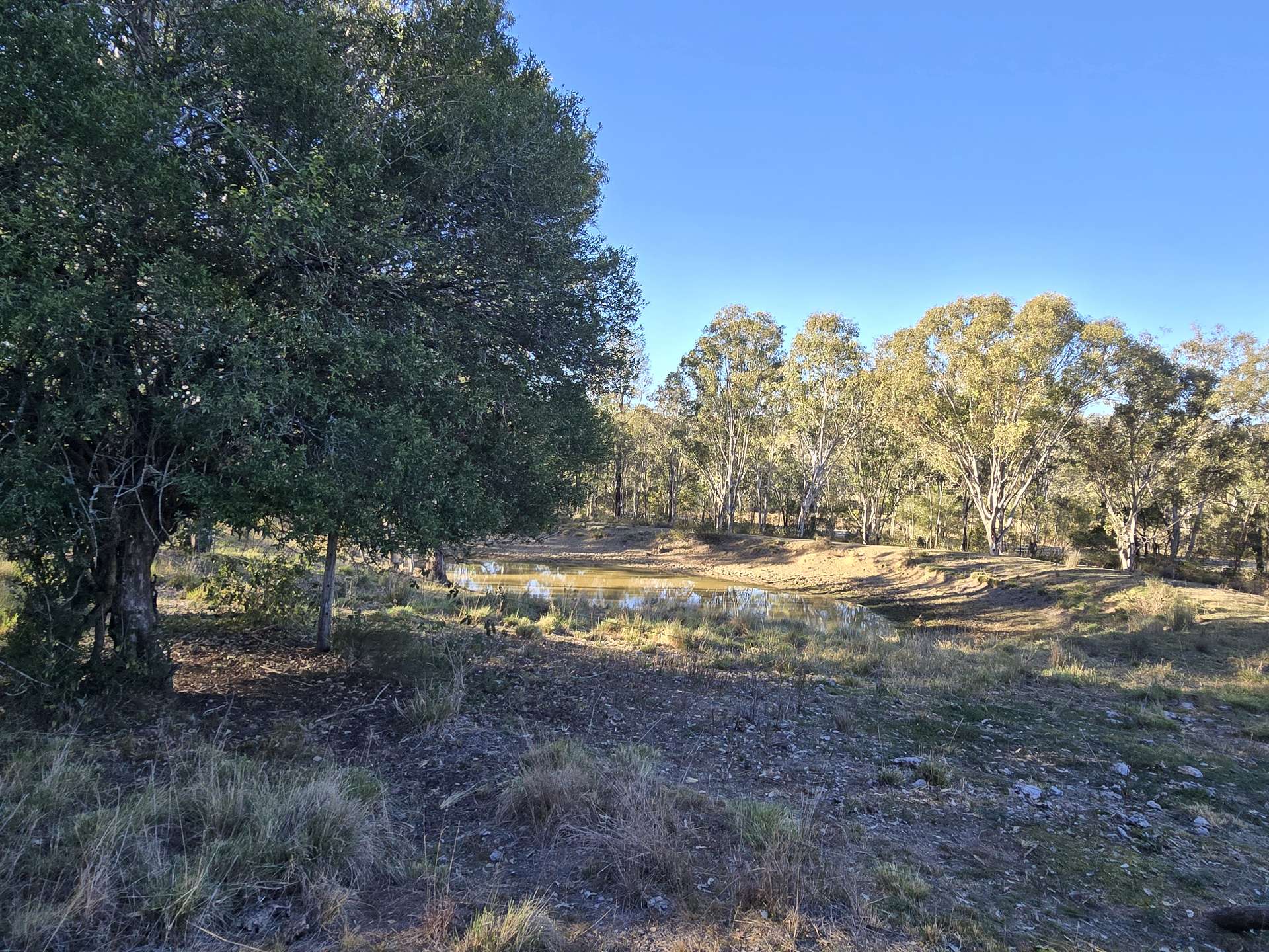 Lot 2 New England Highway, Thornville For Sale by Farmbuy.com - image 5