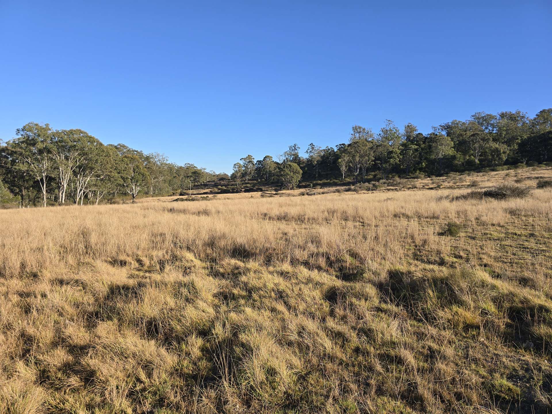 Lot 2 New England Highway, Thornville For Sale by Farmbuy.com - image 2