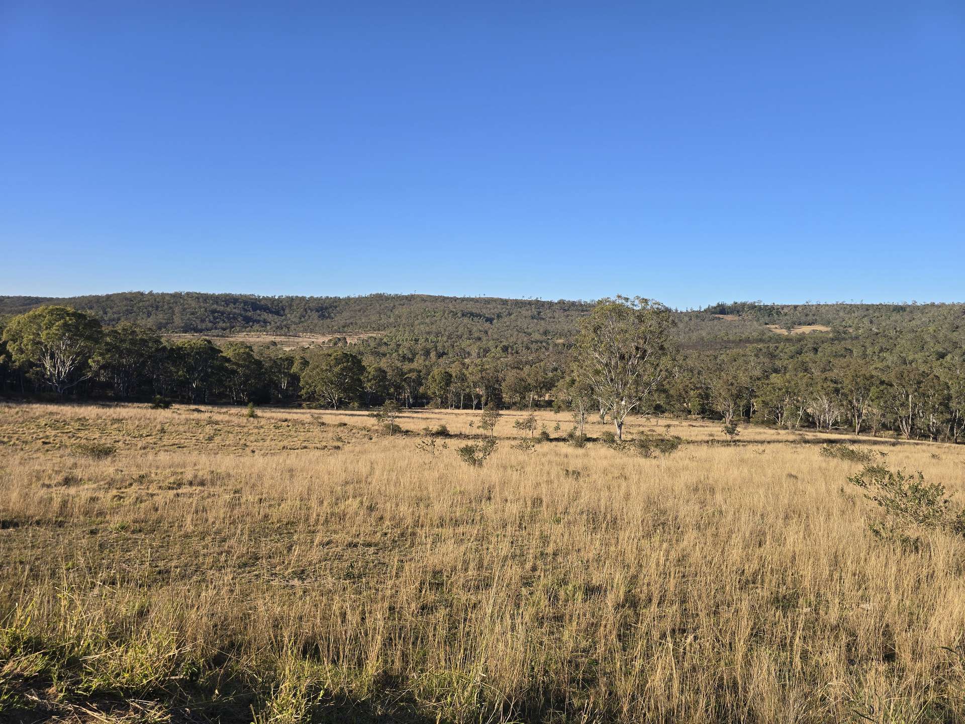 Lot 2 New England Highway, Thornville For Sale by Farmbuy.com - image 1