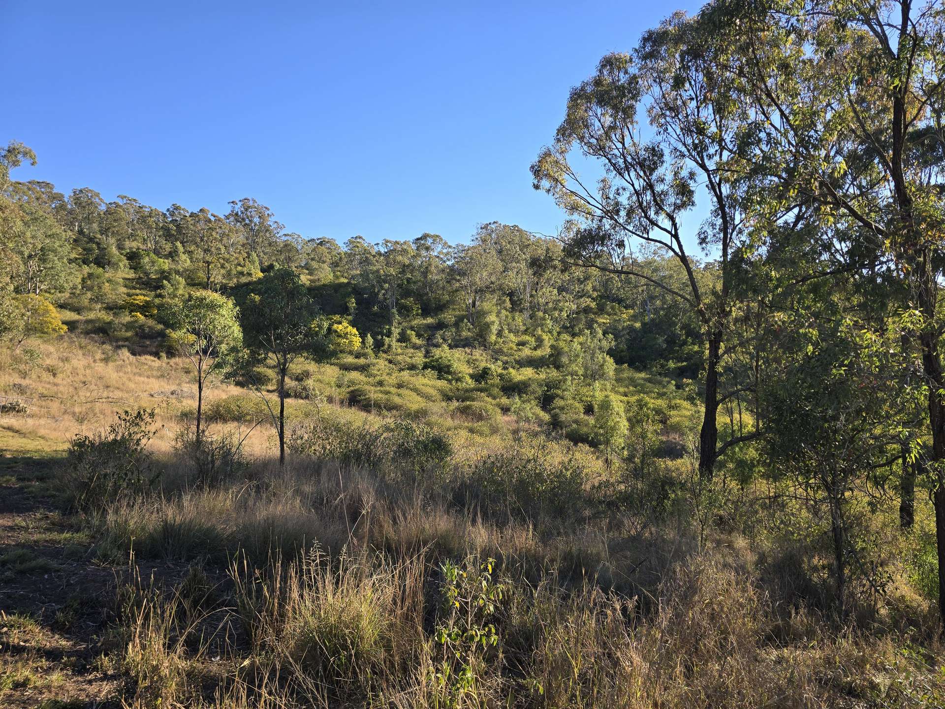 Lot 2 New England Highway, Thornville For Sale by Farmbuy.com - image 10