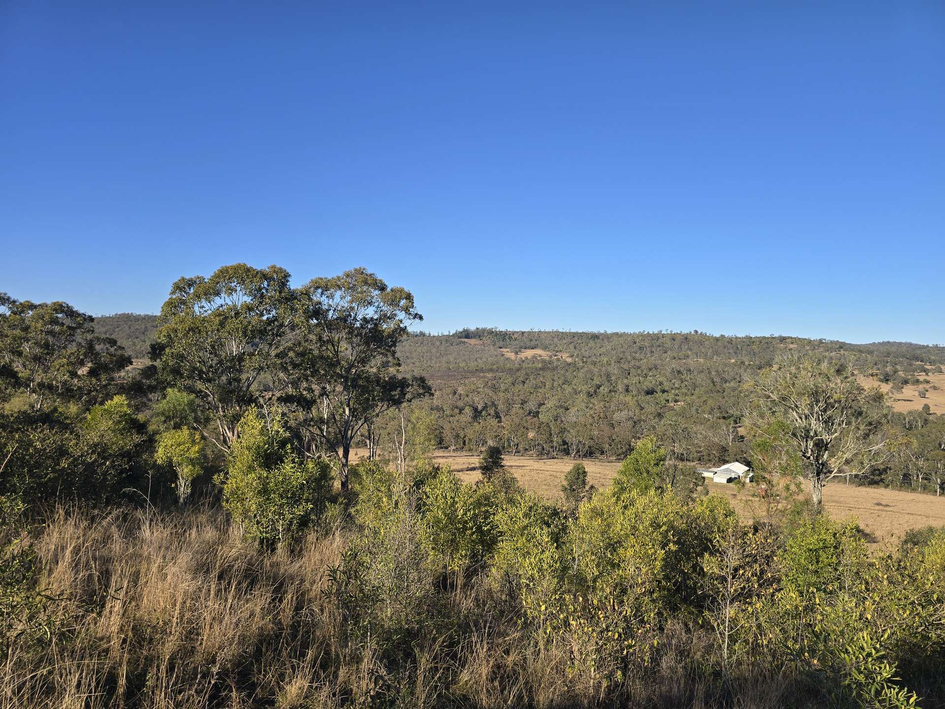 Lot 2 New England Highway, Thornville For Sale by Farmbuy.com - image 14