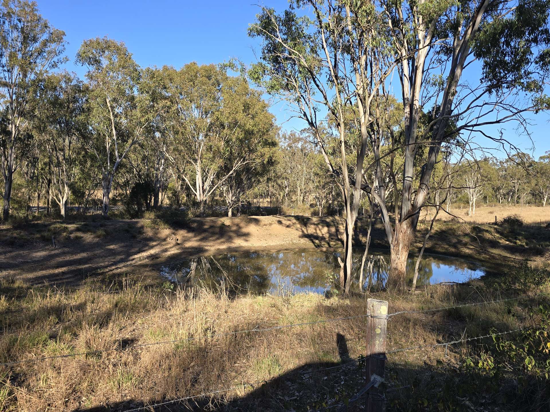 Lot 2 New England Highway, Thornville For Sale by Farmbuy.com - image 6