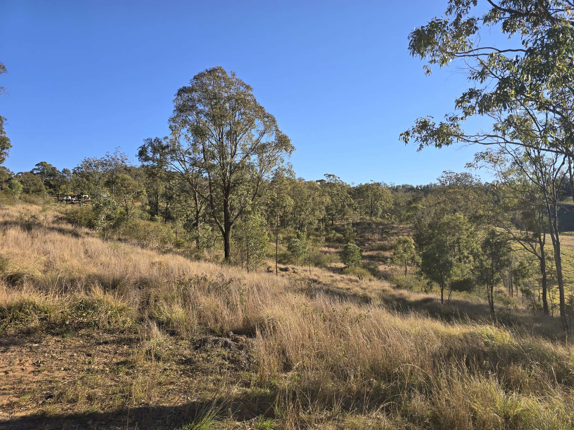 Lot 2 New England Highway, Thornville For Sale by Farmbuy.com - image 9